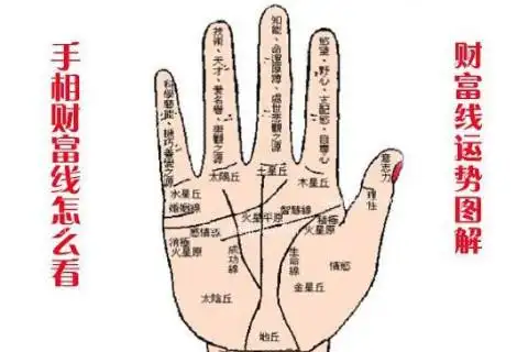 手相财富线介绍