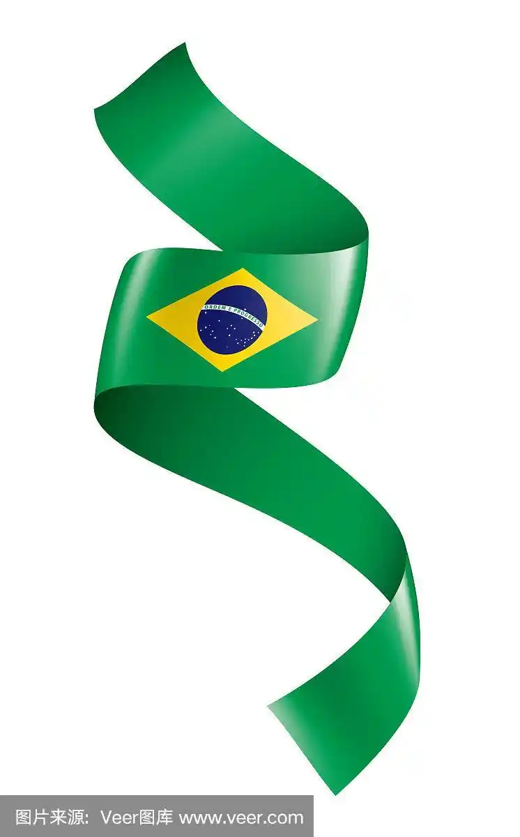 巴西国旗,矢量插图在白色的背景