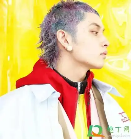 剪一个鲻鱼发型多少钱2