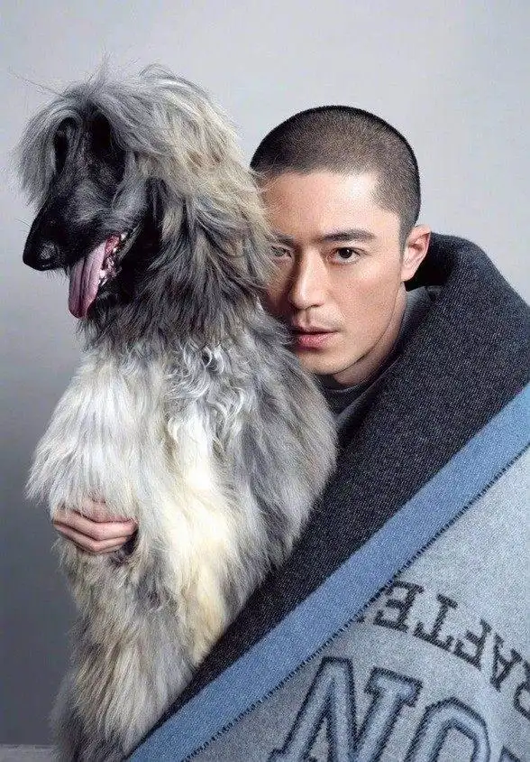 老干部霍建华在某杂志封面上的造型就是圆寸,霸道总裁范满满啊!