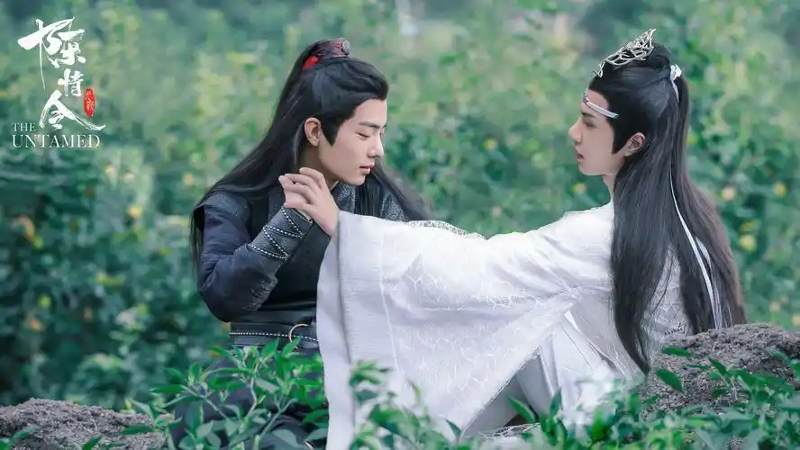 王肖 博君一肖 壁纸 bjyxszd