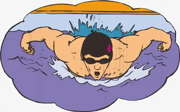 运动员,游泳,比赛,运动,矢量图,游泳比赛