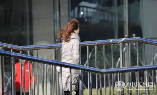 图为市民在大风中艰难行走(李根 摄)