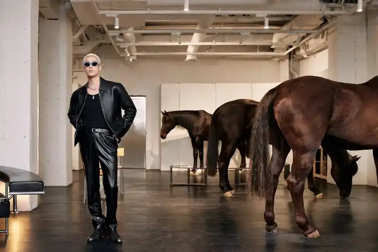 米卡- 堆糖,美图壁纸兴趣社区