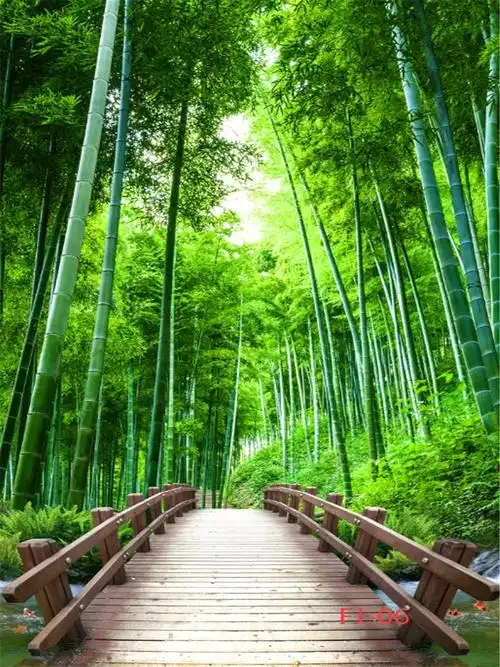 间主播装饰快手抖音背景墙外景山水风景3d背景布白色宽15高2米写真布