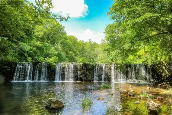 属虎水瓶座2024年运势