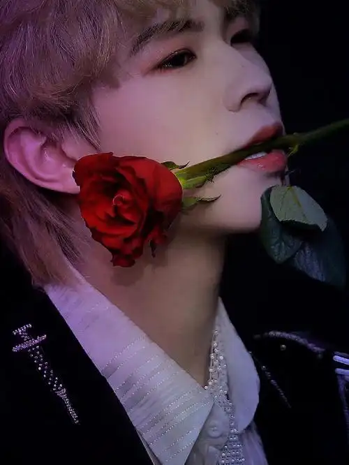 李希侃玫瑰藏在心底的爱意泛滥