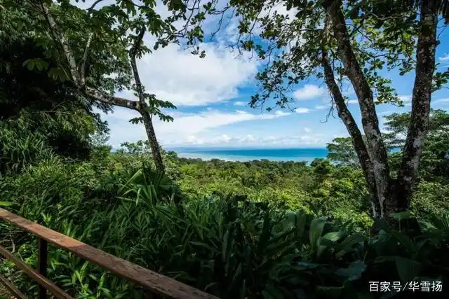 世界特色酒店图集——哥斯达黎加丛林酒店