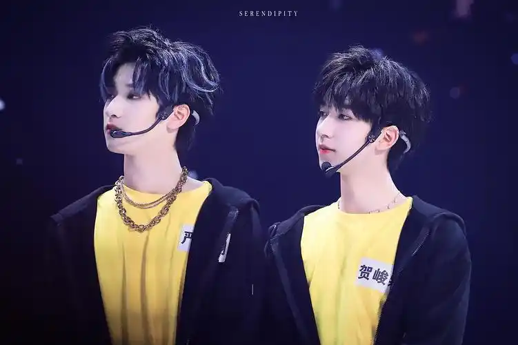 给我夸严浩翔贺峻霖