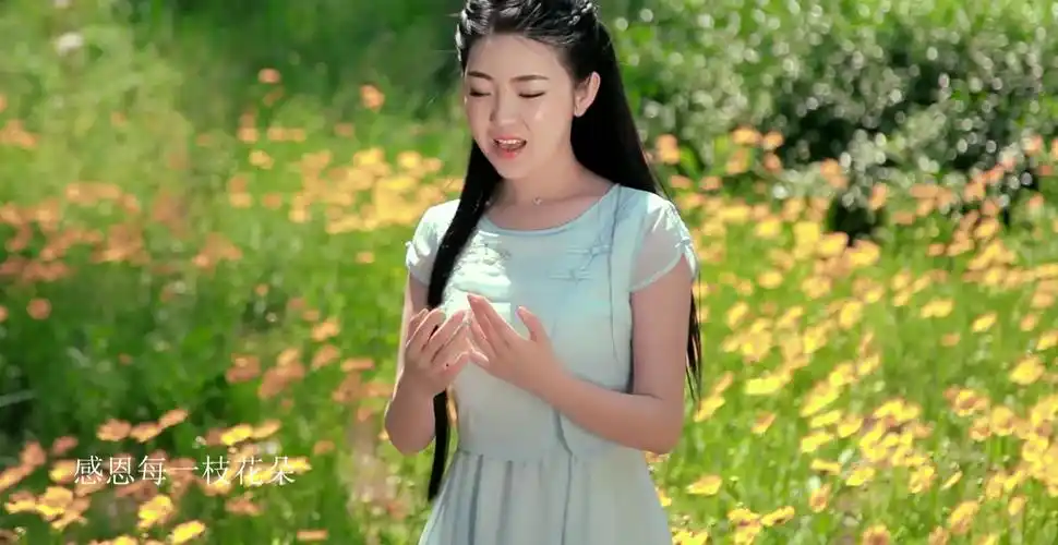 感恩歌官方版任妙音