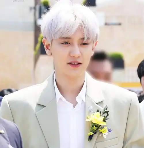 朴灿烈 银发 西装