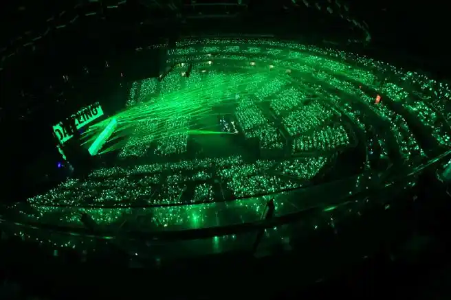 王源演唱会上的绿海