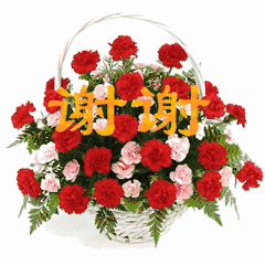 240_240gif 动态图 动图