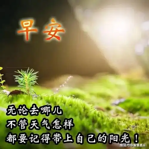 原创炎热天气早上好动图表情包图片带字,夏天早安问候祝福语图片大全