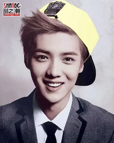 鹿晗(lu han),1990年4月20日出生于北京海淀区,中国内地男演员,钢手