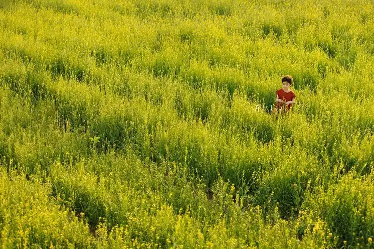 再美的风景也不及你眉眼带笑