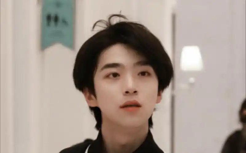 活动作品人类高质量女性张嘉元