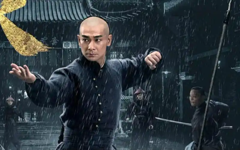 【一战成名/功夫巨星】&【赵文卓】国家武英级运动员出身,实战功夫绝