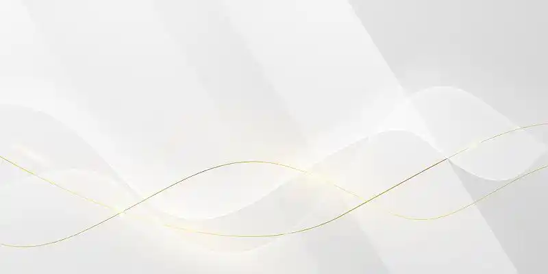 白色科技感几何渐变线条曲线流体展板背景