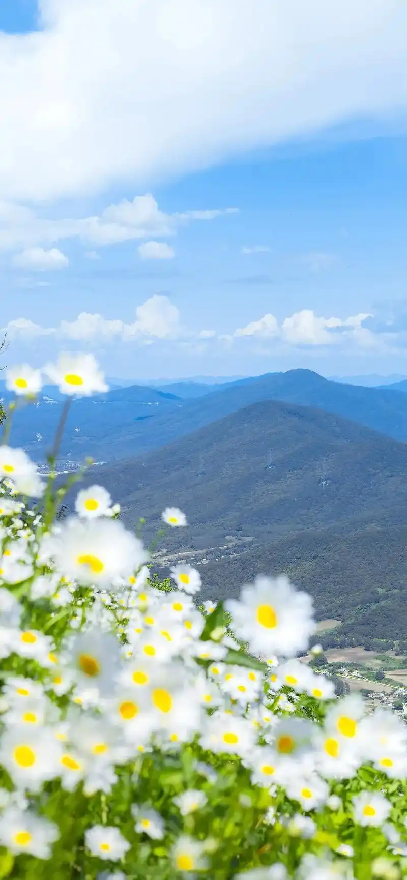 治愈系 #风景#小清新治愈系 #壁纸#手机壁纸 - 抖音