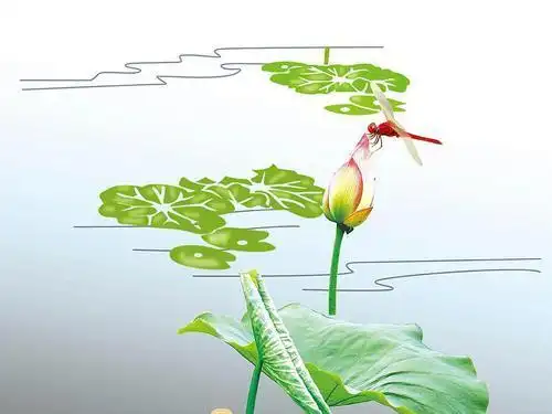 蜻蜓点水荷花简笔画
