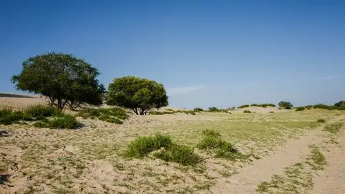 沙漠与草原的连接处,完美