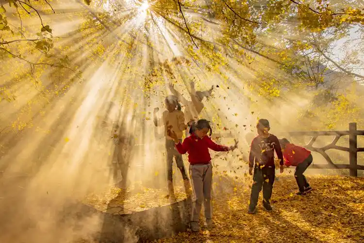 你好,小康——重庆新时代新生活摄影大赛二等奖《金色童年》