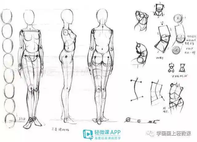 漫画人体结构绘画教程清晰结构绘制教程