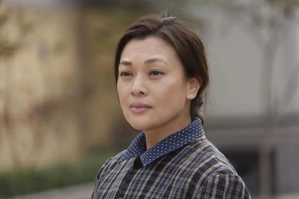 在电视剧《二叔》中,史可饰演的"大嫂"慧兰人如其名,温婉贤淑,善良