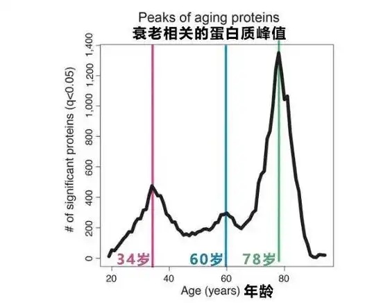 6个生活习惯会加速衰老##这3个年龄段易断崖式衰老