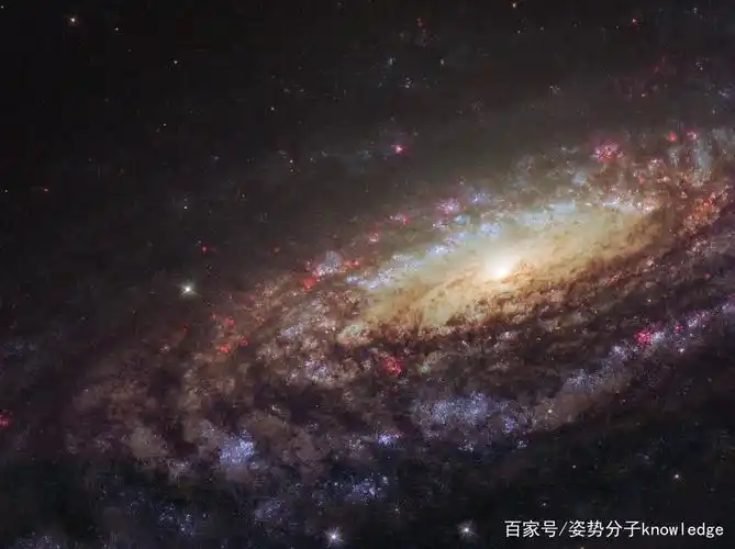 长达16300光年,中国天眼发现银河系巨大结构,或是星系新旋臂