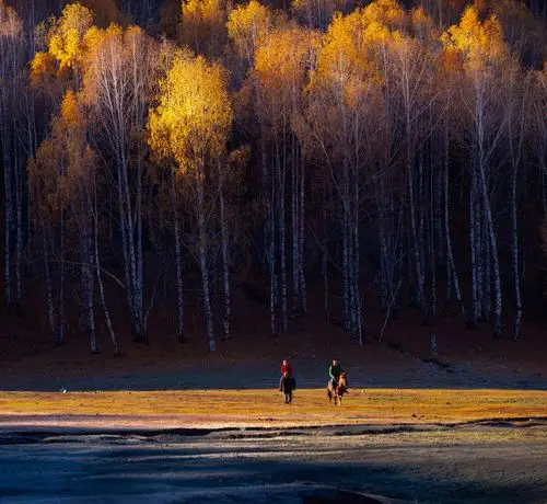 夕阳下,一位老人牵着马!