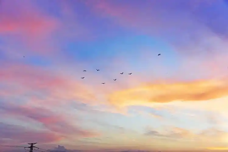 似乎任何点缀都是多余 碧空如洗,白云点点 随手一拍,都是最美的风景