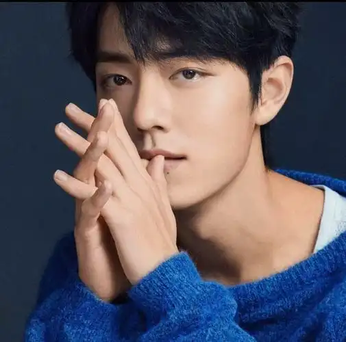 227 后,肖战为什么反而多了那么多成年中年甚至老年人路人粉