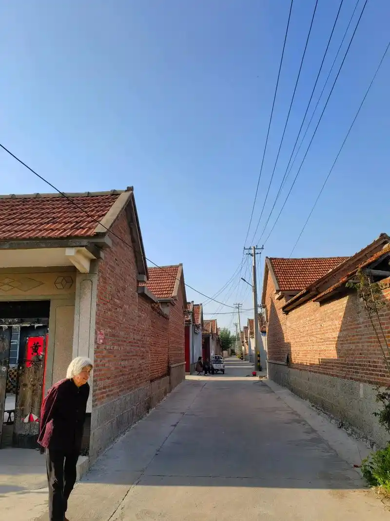 典型的北方农村 红砖四合院 院外种了各种蔬菜 路边有各种水果 - 抖音