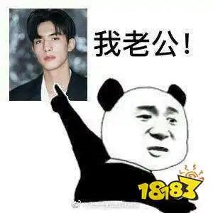 宋威龙表情包汇总下一站是幸福宋威龙元宋表情包大全一览