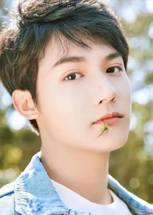 韩国大双眼皮男明星:天然大双眼皮只服这6位男星(13)