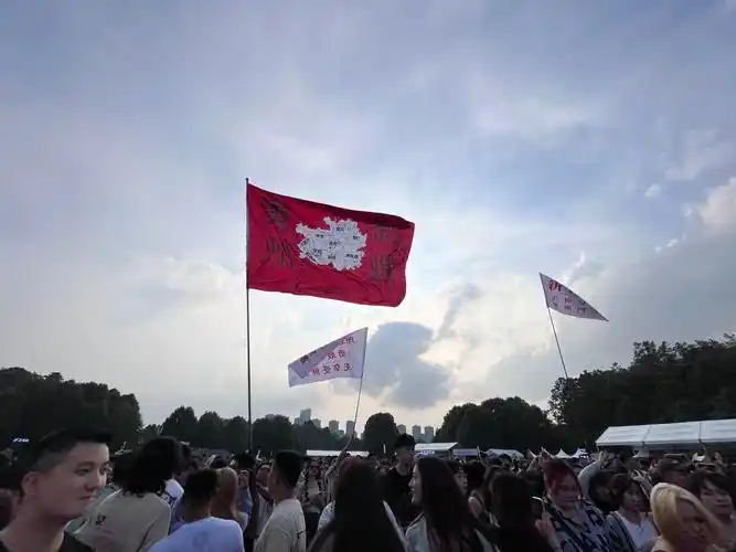 收集8月13日云游音乐节旗帜合集一.大家现场见咯,我要一个个 - 抖音
