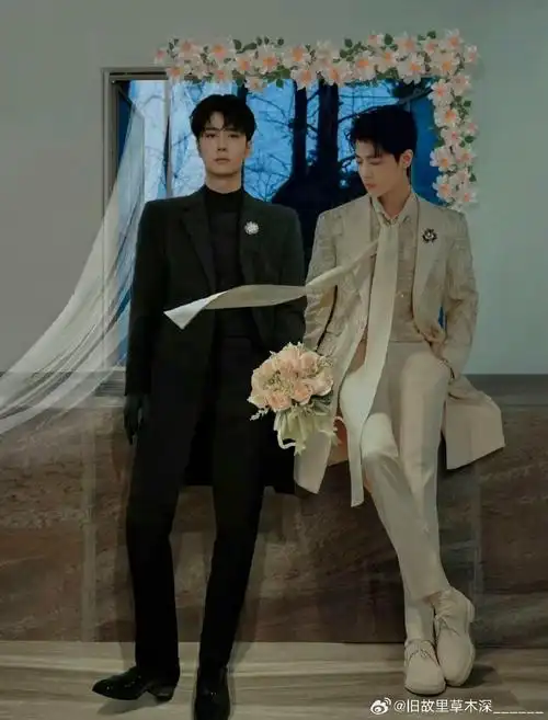 博君一肖##陈情令##肖战王一博