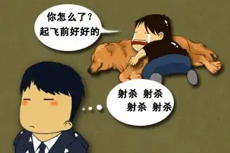 836元航空托运宠物狗 30小时后只见到一具尸体