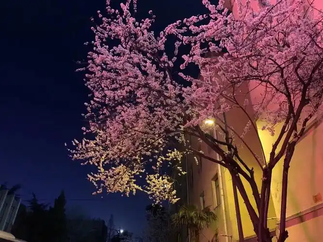 不要问我为什么喜欢夜景,难道安静的夜不美吗