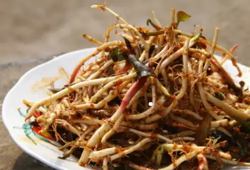 鱼腥草_身体_危害