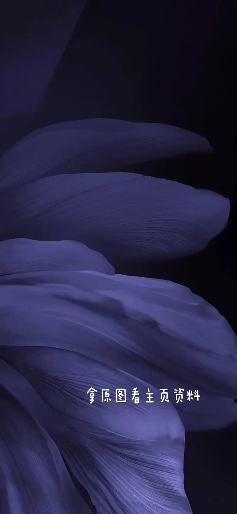 "景深壁纸"手机高清壁纸#全屏高清壁纸 #高清壁纸 #手机壁 - 抖音