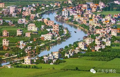 广州市农业农村发展概况