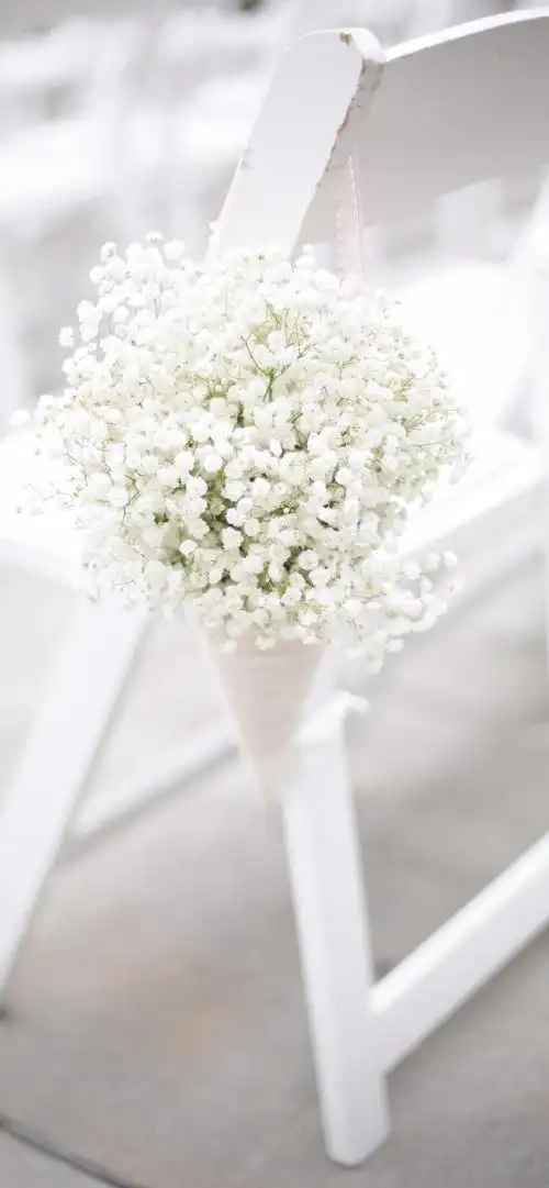 满天星 - 堆糖,美图壁纸兴趣社区