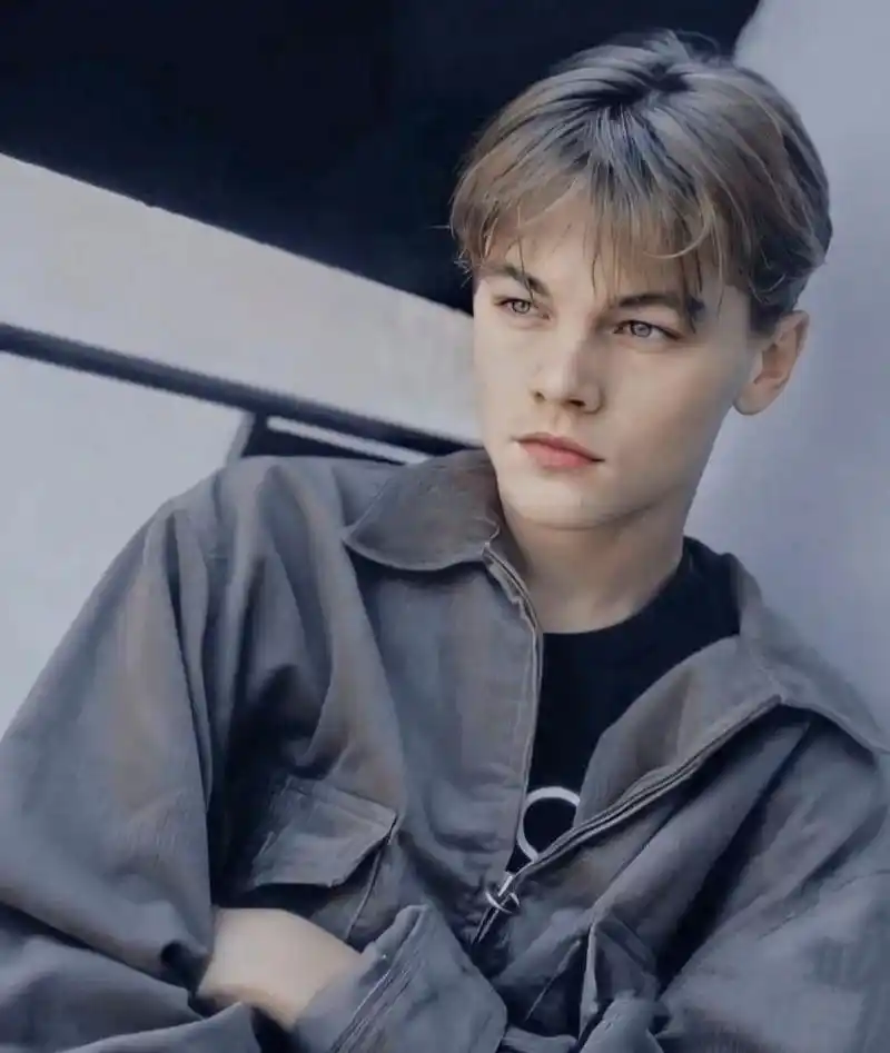 小李子莱昂纳多的少年感 小李子的少年感,永远充满热情