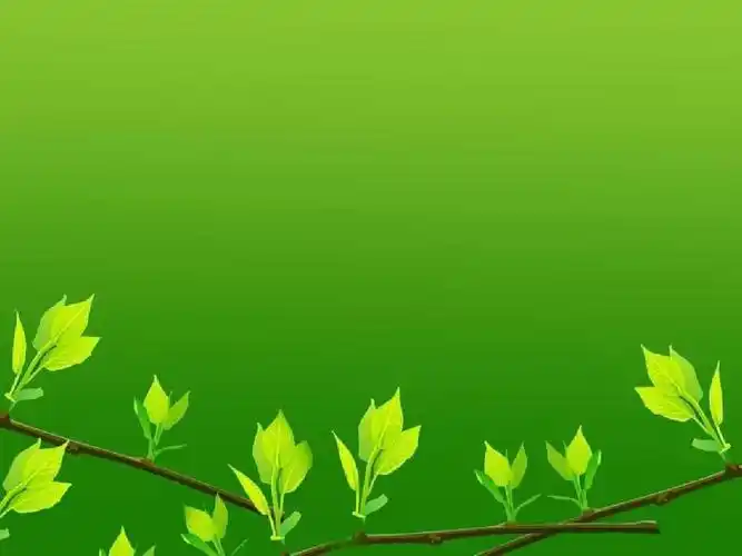 淡雅绿色植物ppt背景图片