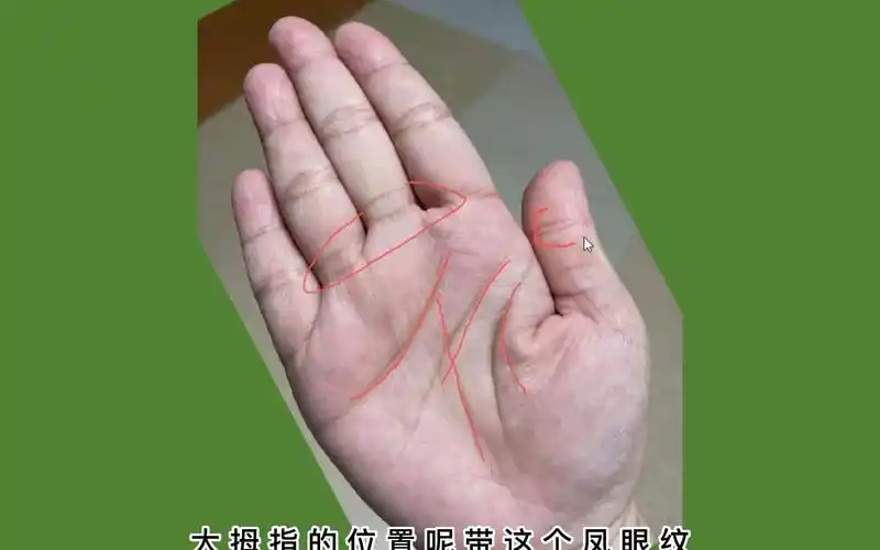 能得祖荫庇佑发财的手相