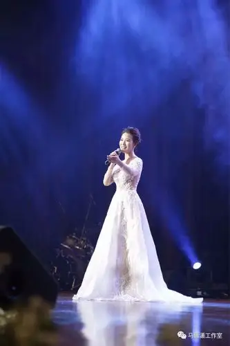 马潇潇丝路情个人独唱音乐会唱响印度尼西亚