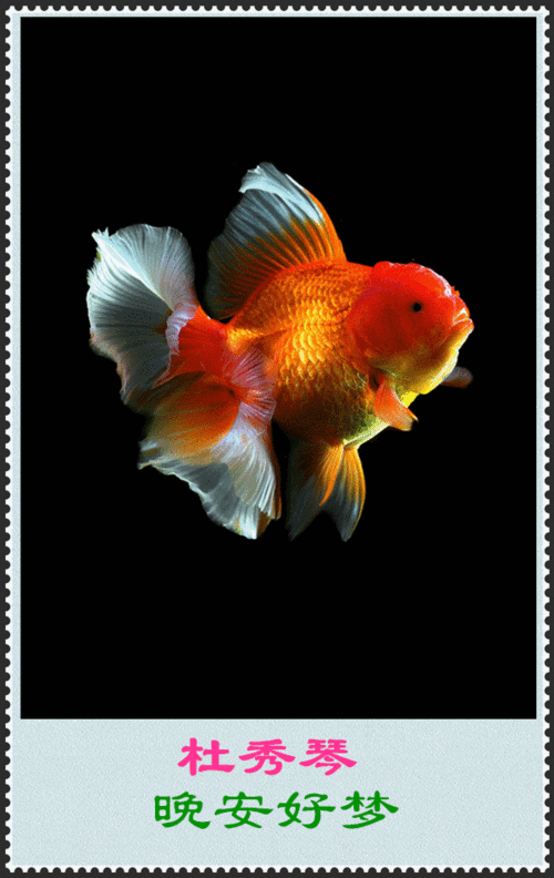 600_950竖版 竖屏gif 动态图 动图